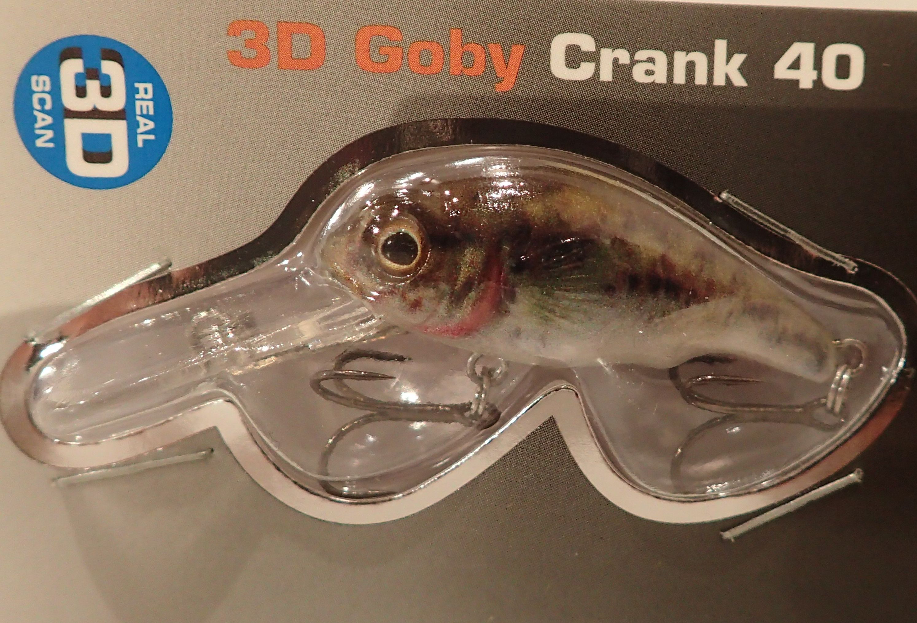 GOBY40